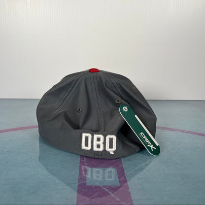 Adult Fitted Hat- DFS 2.0